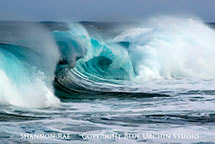 25 foot wave at famed Banzai Pipeline Surf Break Picture