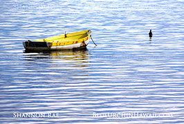Peaceful hawaiian ocean picture of a yellow row boat floating in a bay as ripples dance across the water