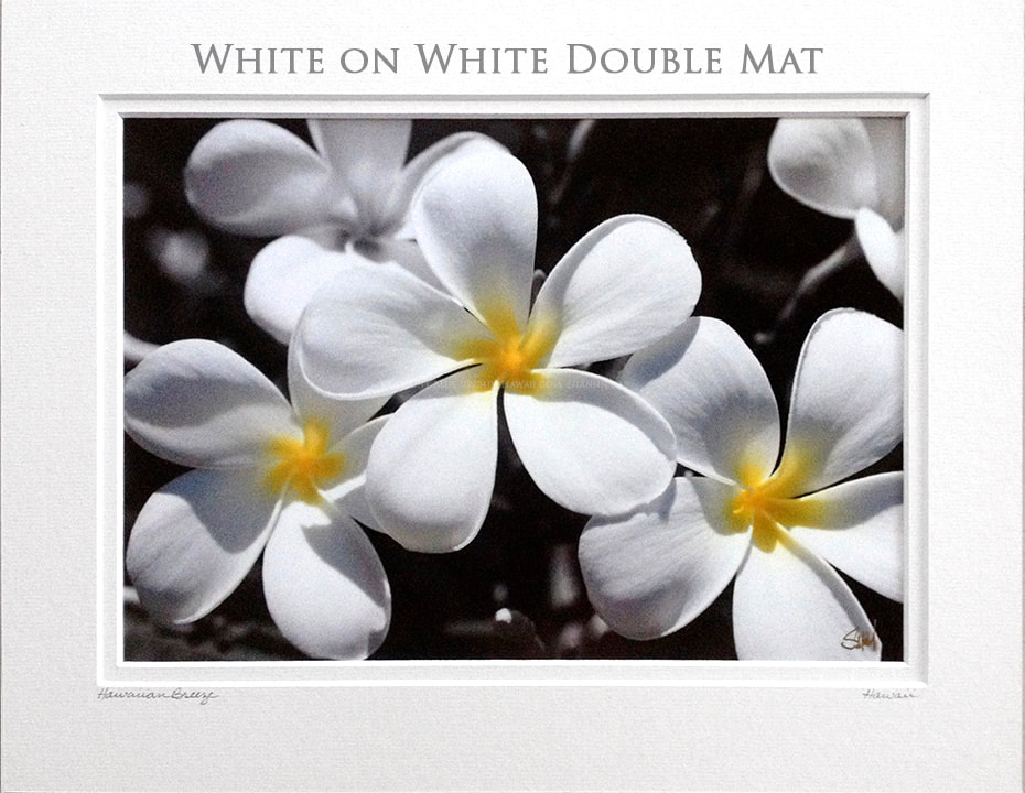 White on White Double Mat for Blue Urchin Hawaii Photo Prints for Sale