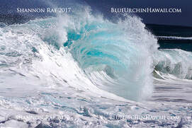 a selection of hawaii ocean wave and tropical splash aluminum wall art 