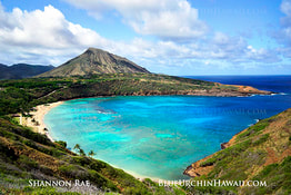 a selection of hawaii sandy beach and ocean pictures in hawaii