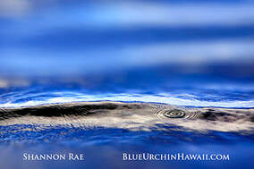 Hawaiian abstract and contemporary fine art pictures & photo prints for sale
