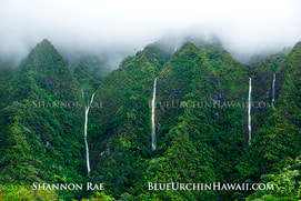 Hawaii natural wateralls, mountain & trees aluminum wall art prints for sale