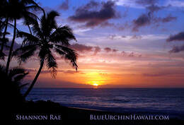 an assortment of hawaii panorama pictures & fine art photo prints for sale