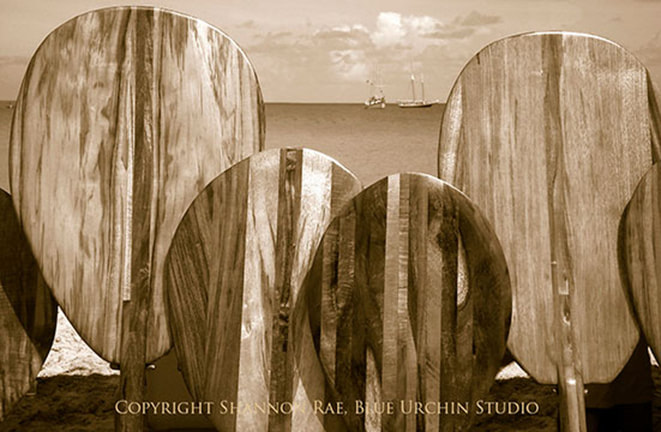 selection of black and white, sepia tone aluminum wall art prints for sale