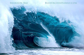 a selection of ocean wave and tropical splash pictures in hawaii
