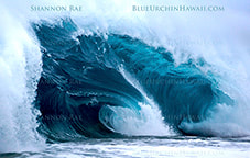 ocean picture of a wild double wave in hawaii