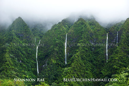 a selection of Hawaii natural wateralls and mountain pictures